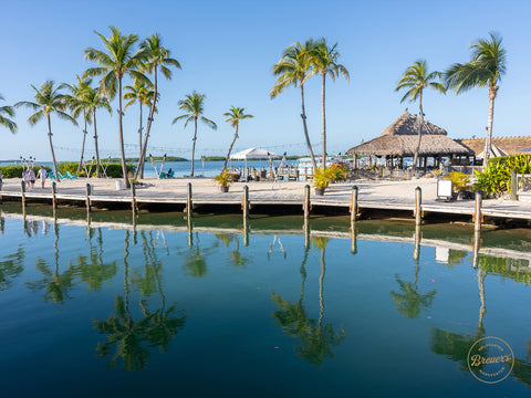 Florida Reiseberichte mit 30 Highlights von der Atlantikküste über die Keys bis zum Golf von Mexiko