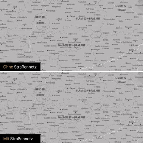 Benelux Push Pin Map TRAVEL® (Pinboard) – Coolgray