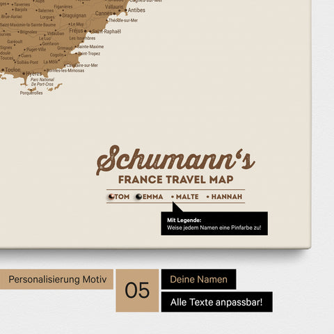 France Push Pin Map TRAVEL® (Pinboard) – Bronze