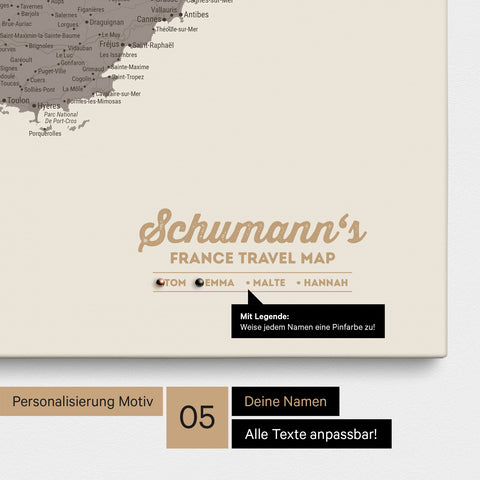 France Push Pin Map TRAVEL® (Pinboard) – Warmgray