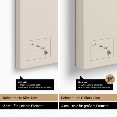 Canada & USA Push Pin Map TRAVEL® (Pinboard) – Warmgray