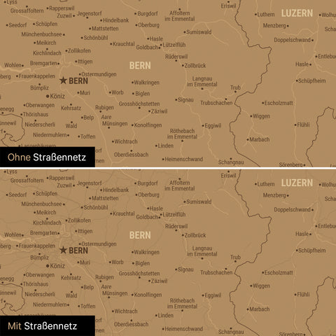 Detail einer magnetischen Schweiz-Karte als Magnettafel in Bronze zeigt die Region um Zürich mit einem angepinnten Foto sowie Reise- und Urlaubsmagnete