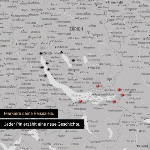 Detail einer magnetischen Schweiz-Karte als Magnettafel in Hellgrau zeigt die Region um Zürich mit einem angepinnten Foto sowie Reise- und Urlaubsmagnete