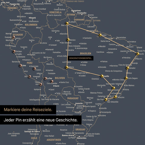 Detailed view of the FINELINE world map pinboard canvas in Hale Navy color with marked travel route and pins in South America