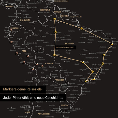 Detailed view of the FINELINE world map pinboard canvas in black and white with marked travel route and pins in South America