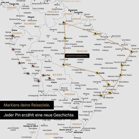 Detailed view of the FINELINE world map pinboard canvas in Light Black color with marked travel route and pins in South America