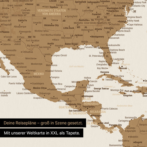 Detail einer Weltkarte als Foto-Tapete in Bronze mit einem Detail-Ausschnitt von USA, der Karibik sowie Südamerika